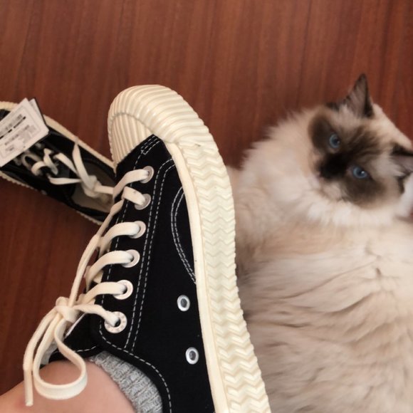 Excelsior black&white sneakers - Picture 3 of 3